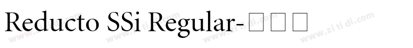 Reducto SSi Regular字体转换